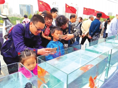 長假期間，有趣的活動吸引了市民圍觀